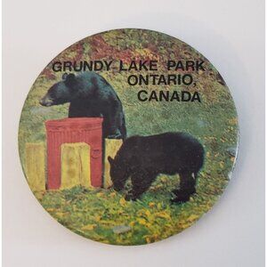 Grundy Lake Park Ontario Canada Two Black Bears Garbage Cans Pinback Button Pin